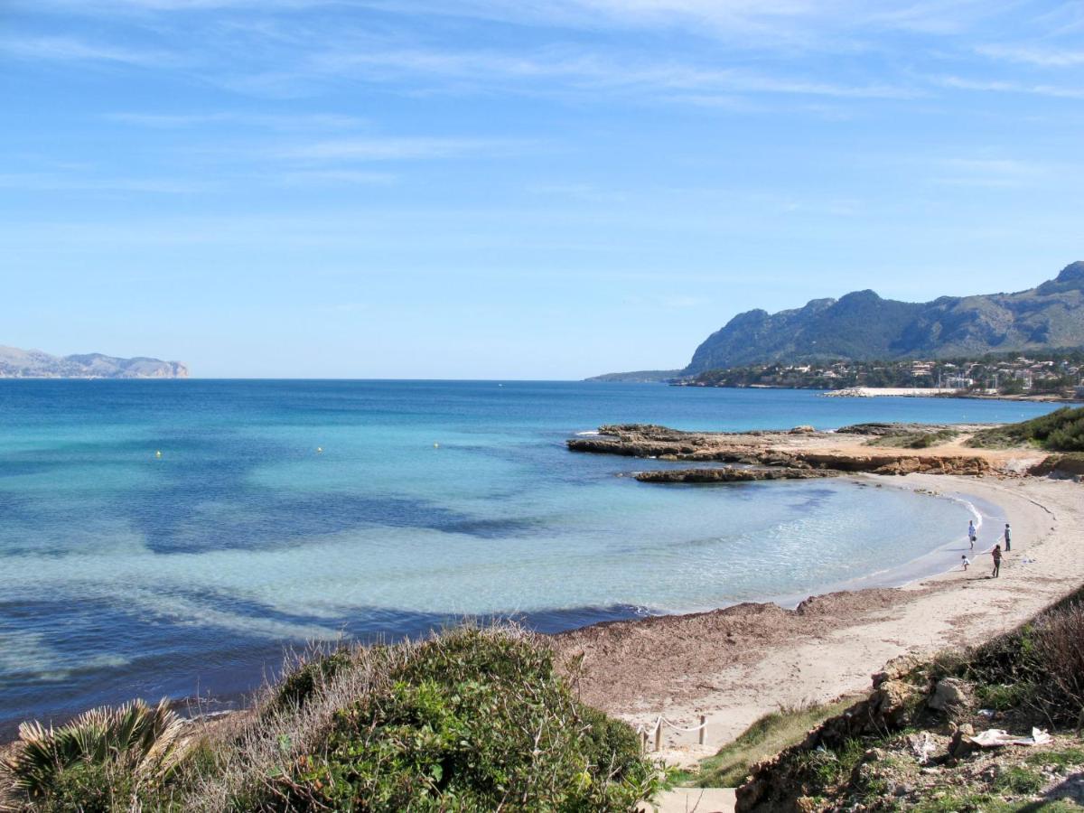 Vertaient * Alcúdia